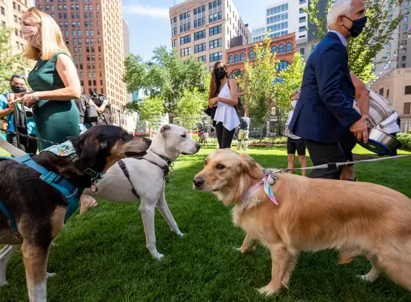 Capitol Park Dog Park