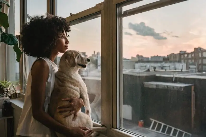 pet friendly apartments Detroit
