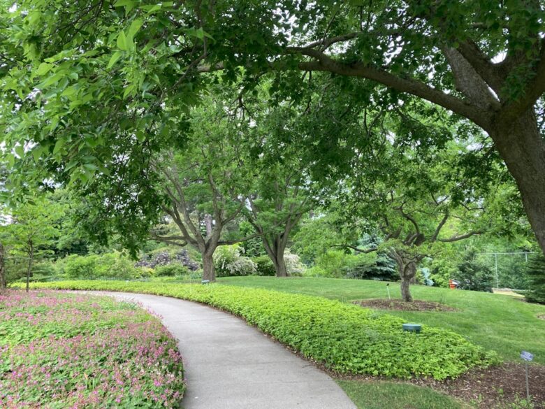 Royal Oak running trails