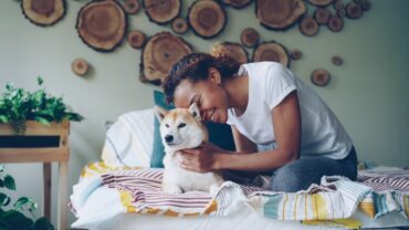 pet friendly utilities included apartments