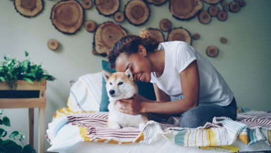 pet friendly utilities included apartments
