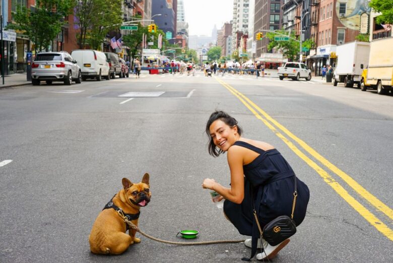 pet friendly Midtown dog in urban apartment