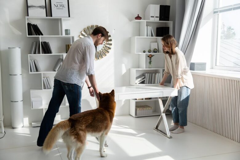 furnished apartments pet friendly