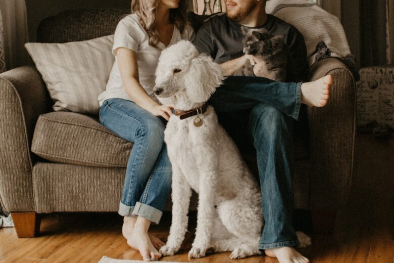 pet friendly apartments with utilities included