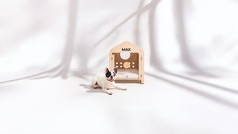 dog relaxing in a modern furnished apartment living room